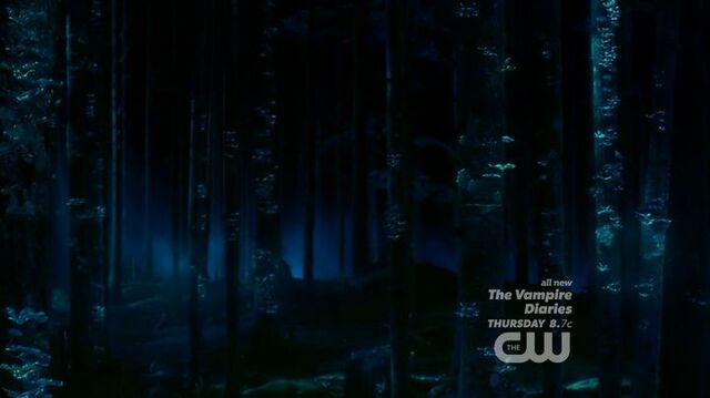 File:Bioluminescent-Forest-Pilot.jpg