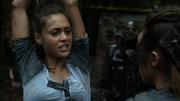 Remember Me 075 (Raven)