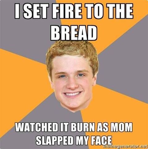 File:Set Fire To The Rain Peeta.jpg