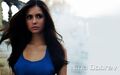 Thumbnail for version as of 00:02, October 17, 2012