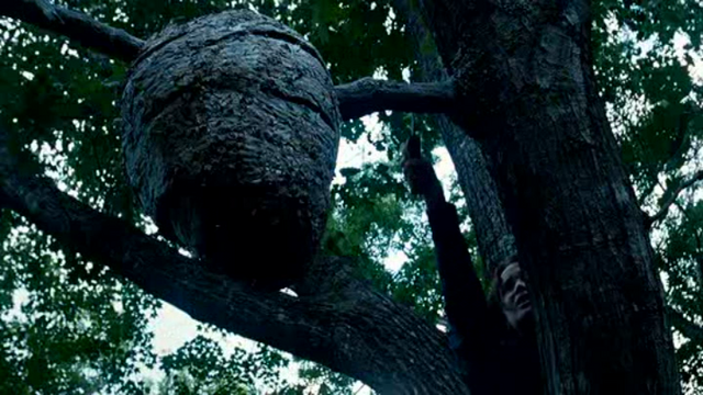 File:Katniss tracker jackers.png
