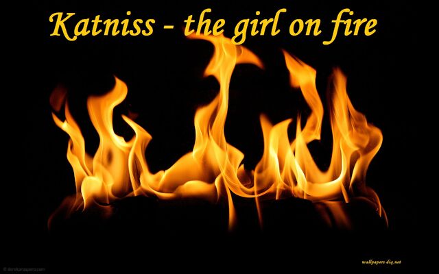 File:Real Fire Flames Template.jpg