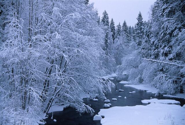 File:Winter-snow-landscapes.jpg