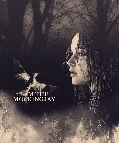 File:Mockingjay77.jpg