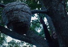 Katniss cortando la rama que sostiene el nido de rastrevíspulas