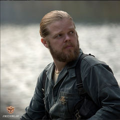 Still de Pollux en Sinsajo
