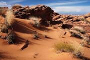 Desert1