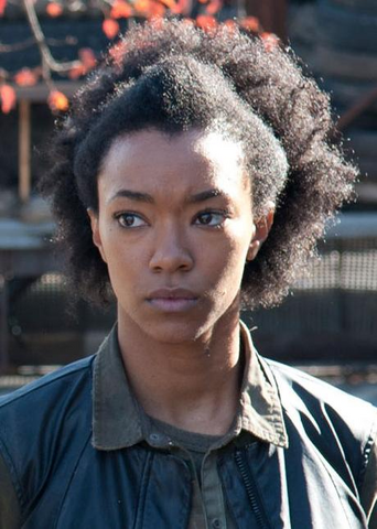 File:Sasha (TWD).png