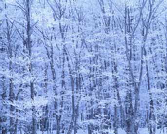 Winter1