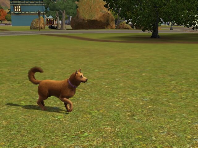 File:Screenshot-54.jpg