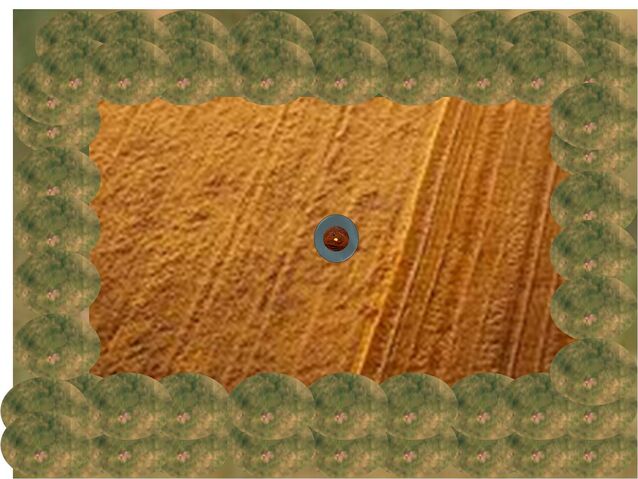 File:Hunger Games Map.jpg