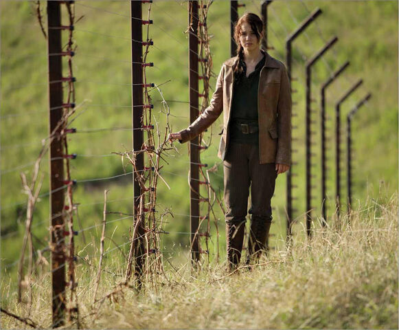 File:D12 fence.jpg