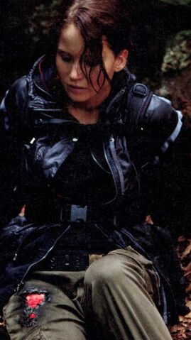 File:354px-Katniss burn.jpg