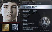 District 3 Tribute Boy ID Card