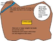 ARENA MAP 1