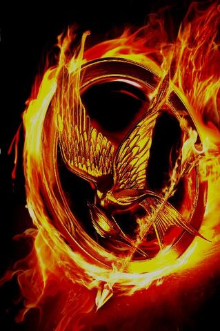 File:MockingJaypinonfire.jpg