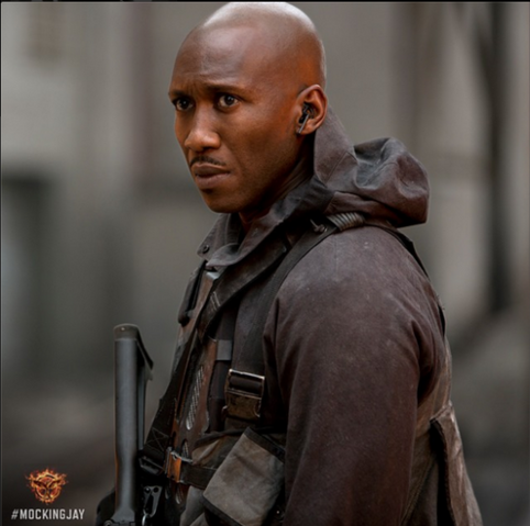 File:Thg-mockingjay-boggs.png
