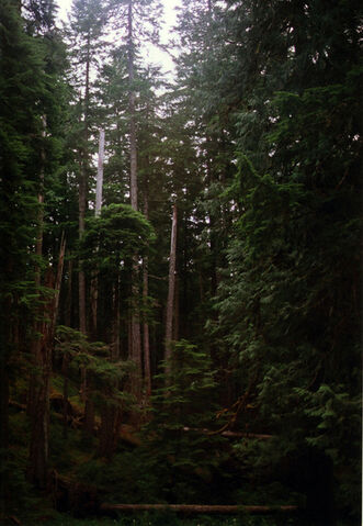 File:Part 2.jpg