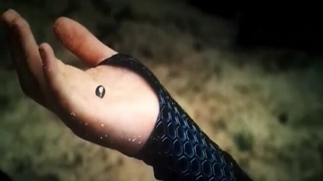 File:Katniss-Holding-Pearl.jpg