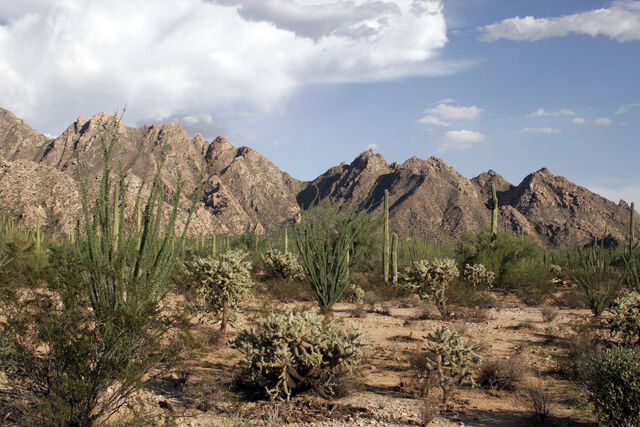File:Desert.jpg