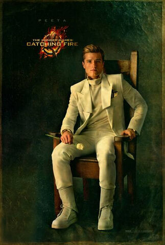 File:Hunger-Games-Peeta Mellark-Poster.jpg