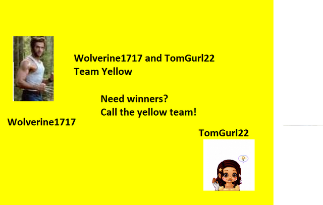 File:Yellow team banner.png