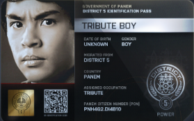 District 5 Tribute Boy ID Card