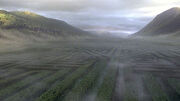 Hedgemaze