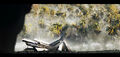 Thumbnail for version as of 17:44, November 6, 2013