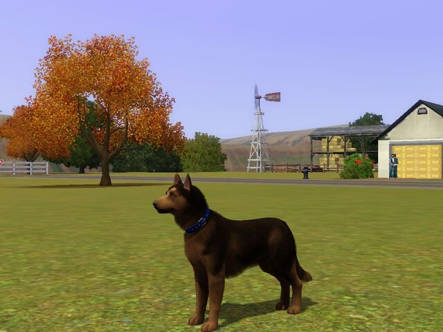 File:Screenshot-75.jpg