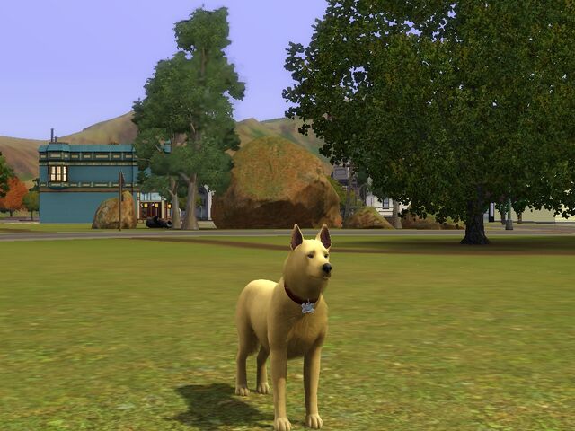 File:Screenshot-74.jpg