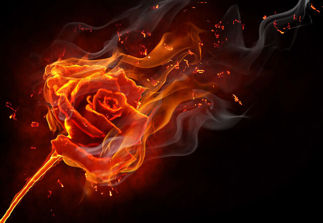 File:ROSE.jpg