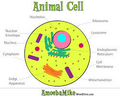 Thumbnail for version as of 01:29, May 20, 2014