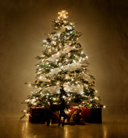 File:Christmas-Tree.jpg