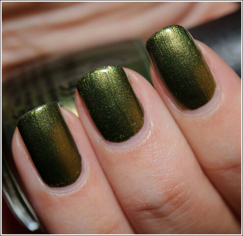 File:Chinaglaze hungergames008.jpeg