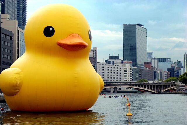 File:Giant rubber duck.jpg