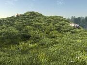 Grassy hill