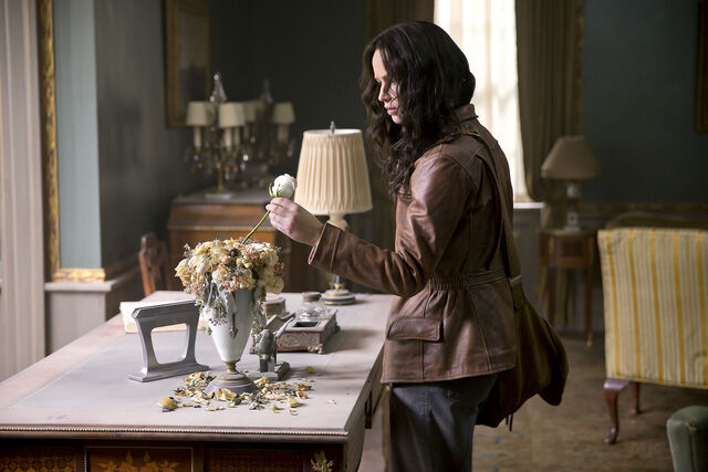 File:Mockingjay-katnissrose.jpg