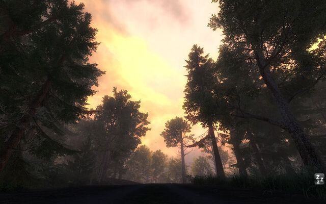 Fichier:TheHunter-2009-10-10-21-10-.jpg
