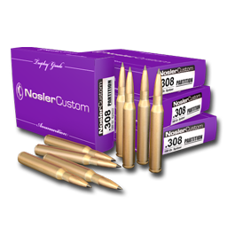 .308 Nosler Partition
