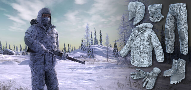 Datei:2015 10 winter camo.jpg