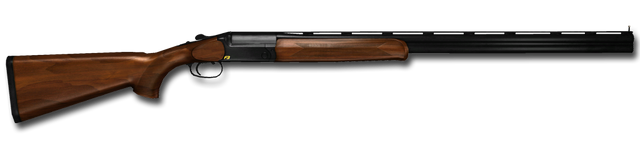 Datei:Blaser F3 Game.png