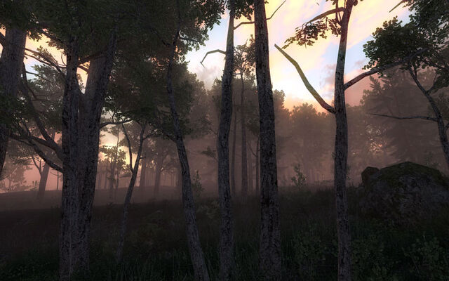 Fichier:TheHunter-2009-09-22-16-03-.jpg