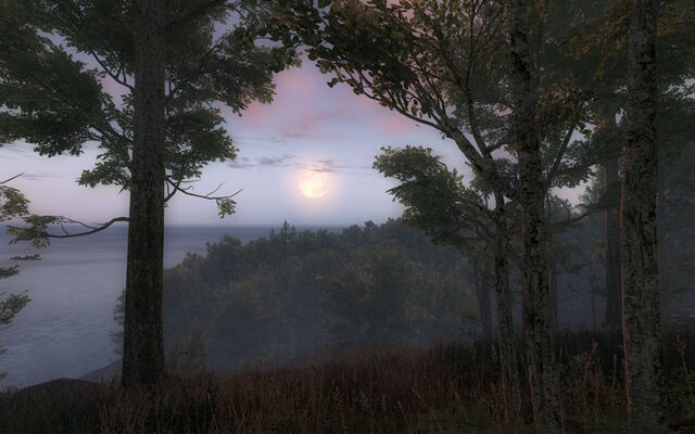 Fichier:TheHunter-2009-09-22-19-52-.jpg