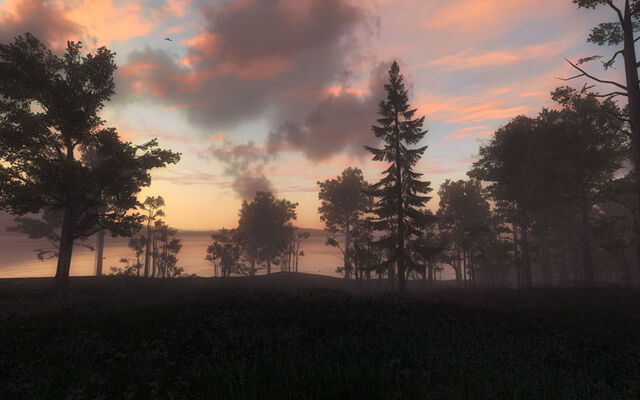 Fichier:TheHunter-2009-09-20-00-43-.jpg