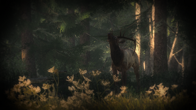Wapiti02.png