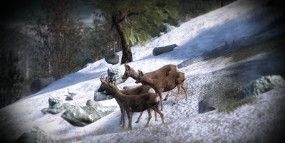 4RoeBucks
