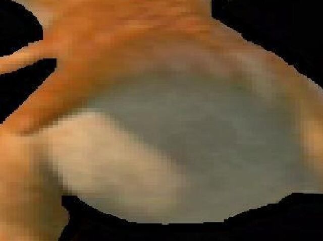 File:Shelly's butt.jpg