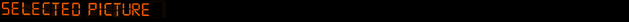 File:Selected Picture.png