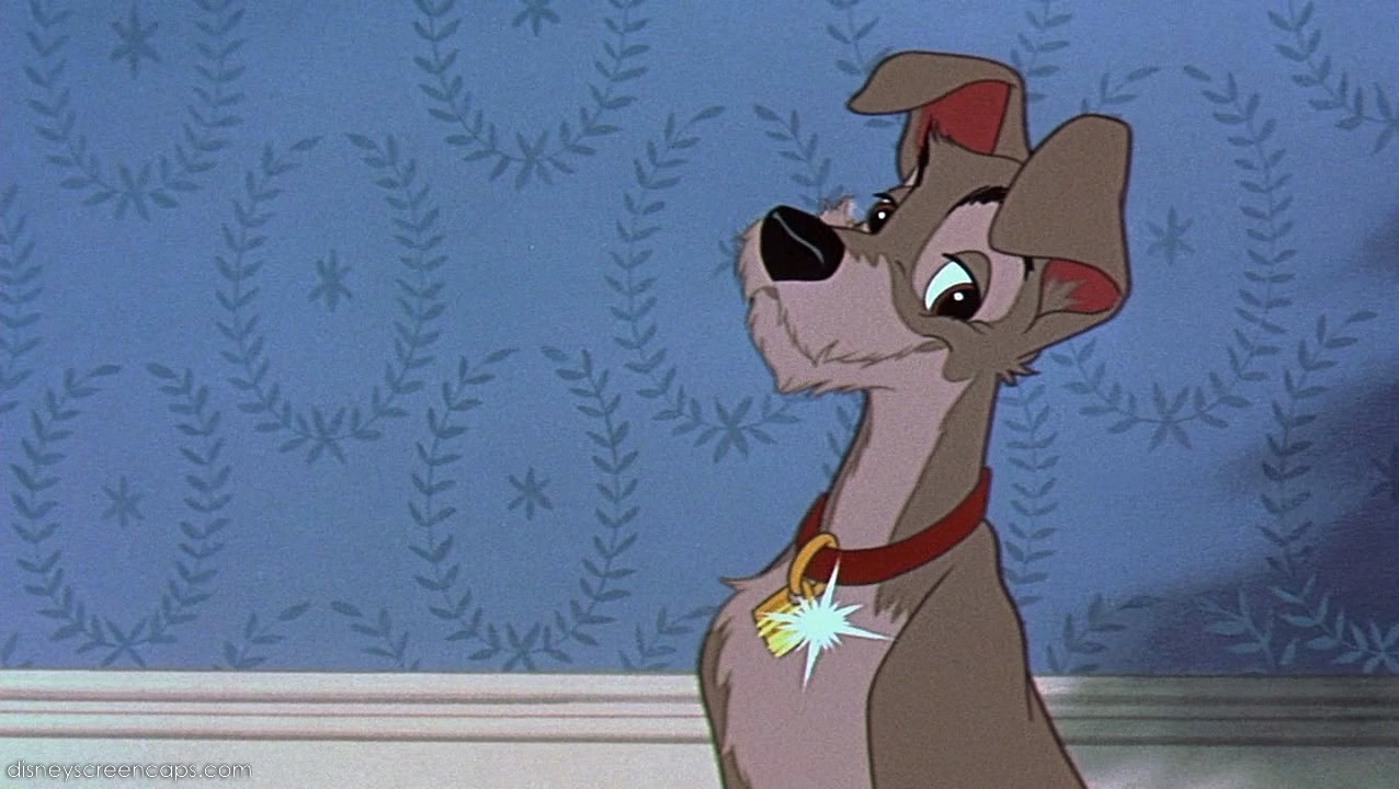 What Are The Dogs Names In Lady And The Tramp What Are The Dogs Names In Lady And The Tramp